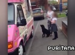 Perro espera su turno en el camion de los helados