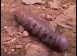 Dos penes en una vagina