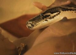 Porno serpiente