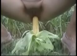 Corn Porn