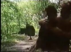Tarzan Xvideo