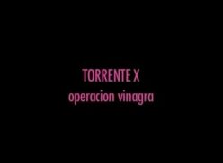 X-Torrent